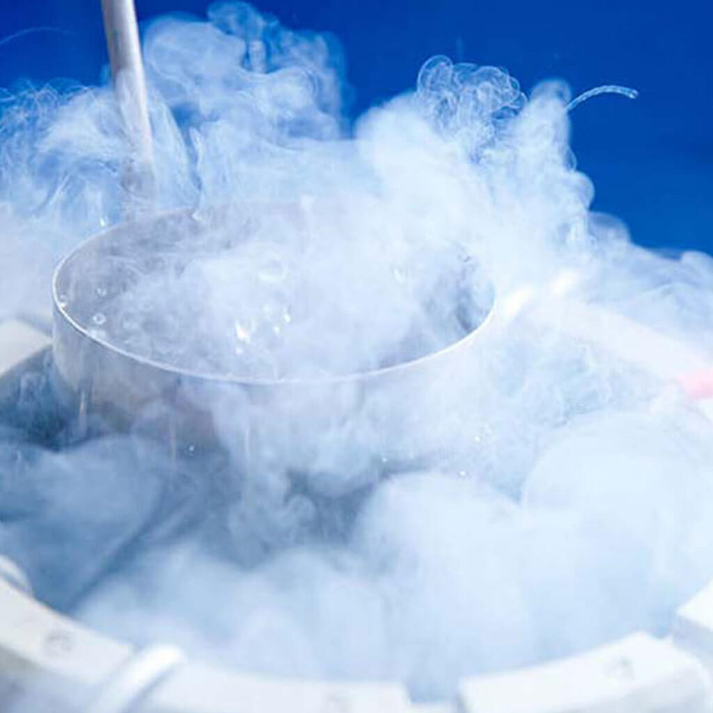 Image of Cold Preservation