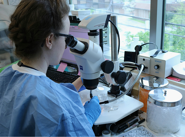 News Post Title Goes Here